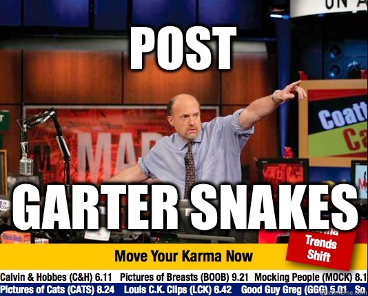 Post  GARTER SNAKES  Mad Karma with Jim Cramer