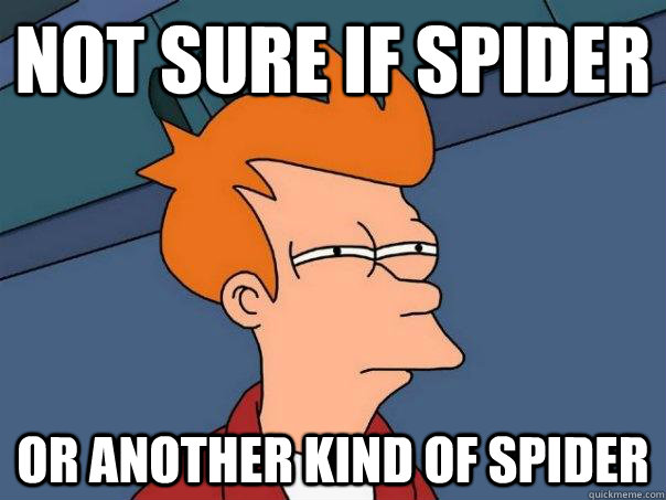 not sure if spider or another kind of spider  Futurama Fry