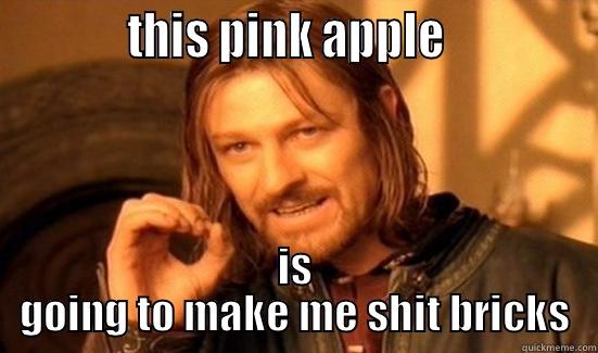            THIS PINK APPLE              IS GOING TO MAKE ME SHIT BRICKS Boromir