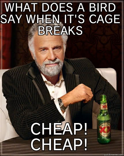 WHAT DOES A BIRD SAY WHEN IT'S CAGE BREAKS CHEAP! CHEAP! The Most Interesting Man In The World