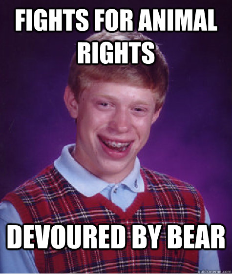 Fights for animal rights devoured by bear  Bad Luck Brian