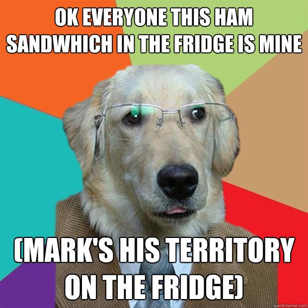 Ok everyone this ham sandwhich in the fridge is mine (Mark's his territory on the fridge)  Business Dog