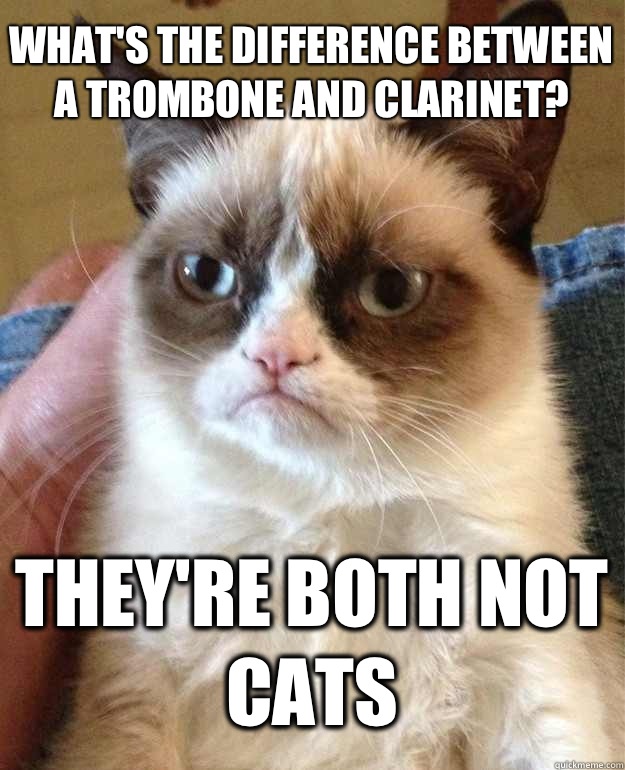 What's the difference between a trombone and clarinet? They're both not cats  Grumpy Cat