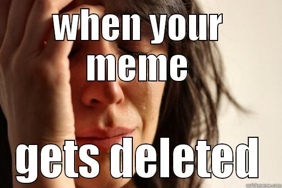 WHEN YOUR MEME GETS DELETED First World Problems