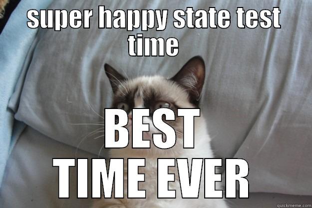 SUPER HAPPY STATE TEST TIME BEST TIME EVER Grumpy Cat