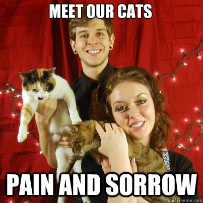 Meet our cats Pain and sorrow - Meet our cats Pain and sorrow  Forever Alone Couple