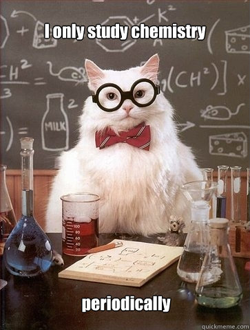 I only study chemistry periodically  Chemistry Cat