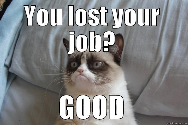 YOU LOST YOUR JOB? GOOD Grumpy Cat