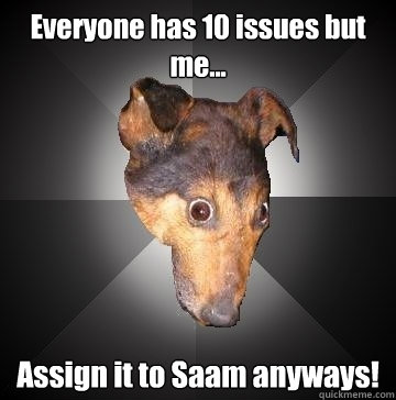 Everyone has 10 issues but me... Assign it to Saam anyways!  Depression Dog