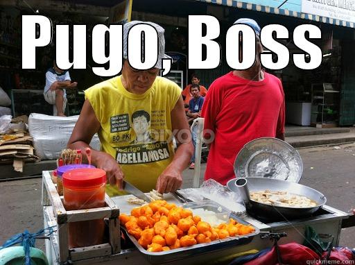 Pugo boss - PUGO, BOSS  Misc