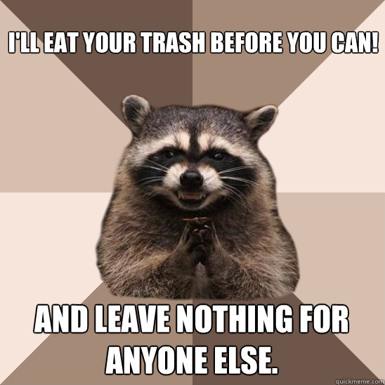 I'll eat your trash before you can! And leave nothing for anyone else. - I'll eat your trash before you can! And leave nothing for anyone else.  Evil Plotting Raccoon