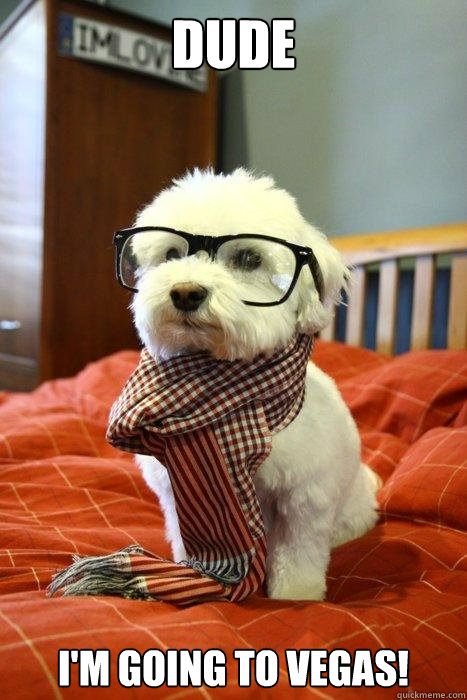 Dude I'm going to Vegas!  Hipster Dog