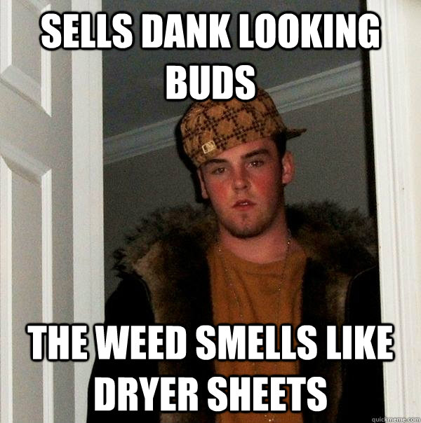 sells dank looking buds the weed smells like dryer sheets  Scumbag Steve