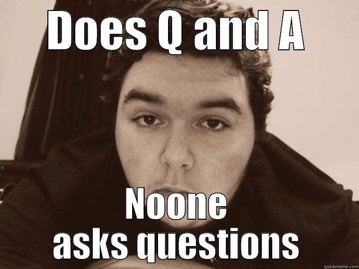 DOES Q AND A NOONE ASKS QUESTIONS Misc