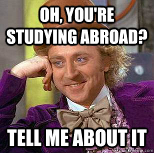 oh, you're studying abroad? Tell me about it - oh, you're studying abroad? Tell me about it  Condescending Wonka
