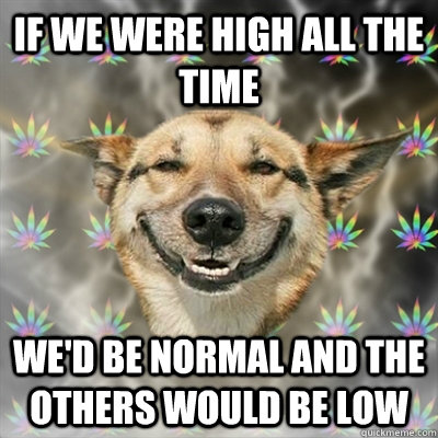 if we were high all the time we'd be normal and the others would be low  Stoner Dog