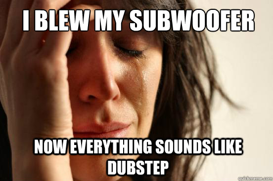 I blew my subwoofer now everything sounds like dubstep - I blew my subwoofer now everything sounds like dubstep  1st World Problems