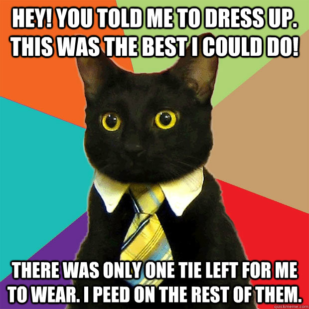 Hey! You told me to dress up. This was the best I could do! There was only one tie left for me to wear. I peed on the rest of them.  Business Cat