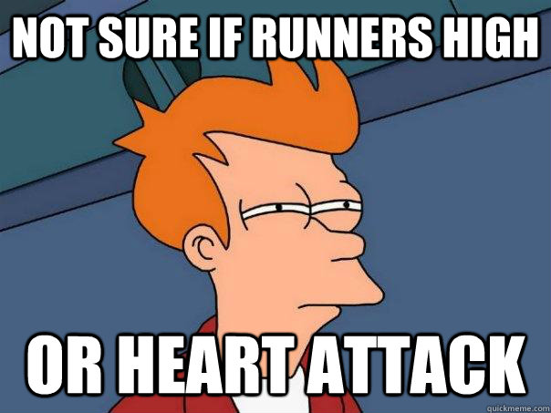 Not sure if Runners high Or heart attack - Not sure if Runners high Or heart attack  Futurama Fry