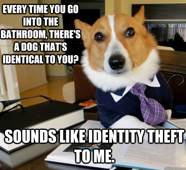 Every time you go into the bathroom, there's a dog that's identical to you? Sounds like identity theft to me.  Lawyer Dog