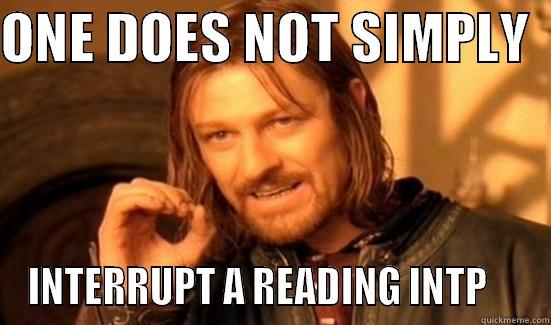 ONE DOES NOT SIMPLY   INTERRUPT A READING INTP     Boromir