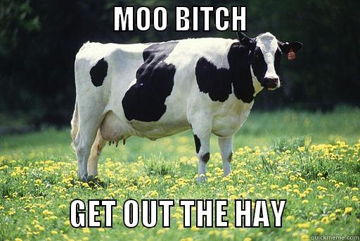 ludacris cow -                     MOO BITCH                                  GET OUT THE HAY             Misc