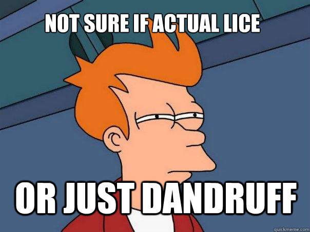 NOT SURE IF ACTUAL LICE OR JUST DANDRUFF  Futurama Fry