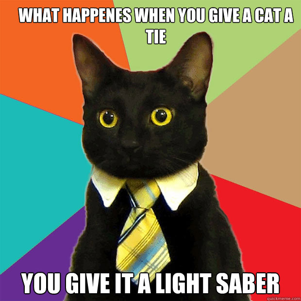 what happenes when you give a cat a tie  you give it a light saber   Business Cat