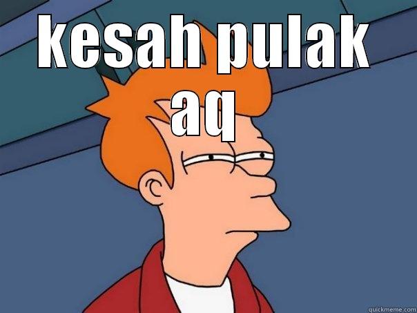 KESAH PULAK AQ  Futurama Fry