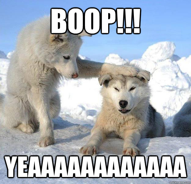 BOOP!!! YEAAAAAAAAAAAA  Caring Husky