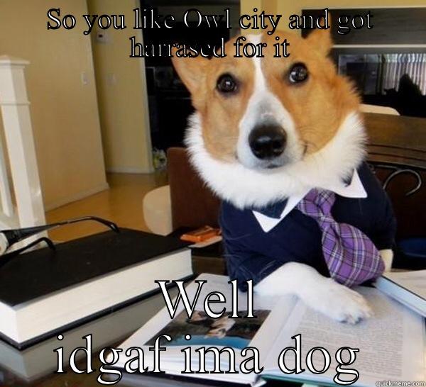 True shit - SO YOU LIKE OWL CITY AND GOT HARRASED FOR IT WELL IDGAF IMA DOG Lawyer Dog