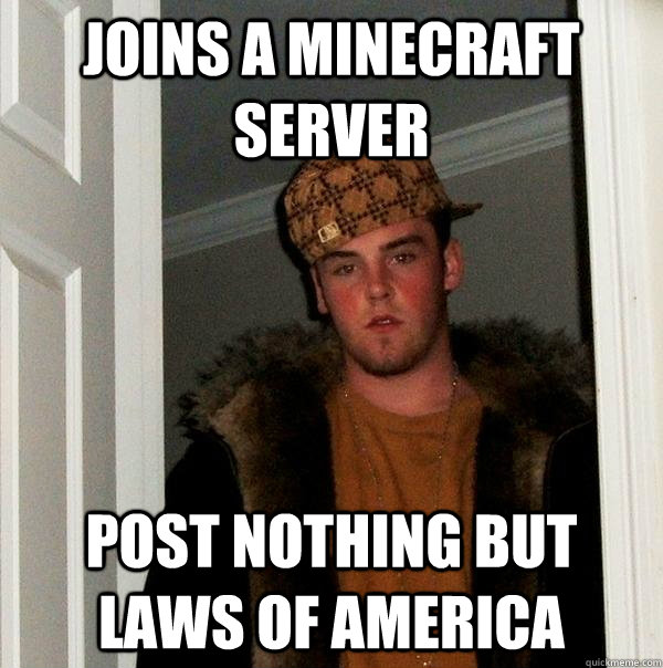 JOINS A MINECRAFT SERVER POST NOTHING BUT LAWS OF AMERICA  Scumbag Steve