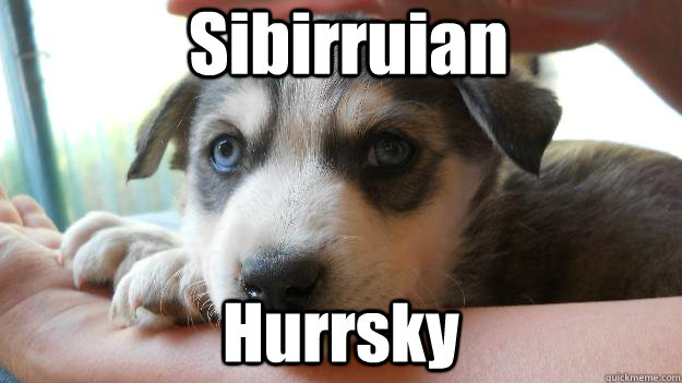 Sibirruian  Hurrsky  Derp