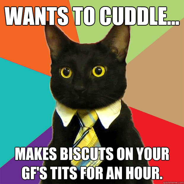 Wants To Cuddle Makes Biscuts On Your Gfs Tits For An Hour Business Cat Quickmeme 