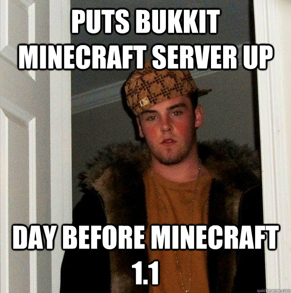 Puts bukkit minecraft server up Day before minecraft 1.1  Scumbag Steve