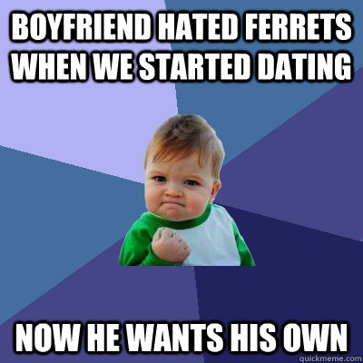 Boyfriend hated ferrets when we started dating  Now he wants his own  Success Kid