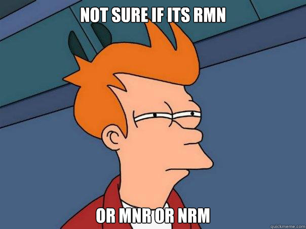 Not sure if its rmn or mnr or nrm  Futurama Fry