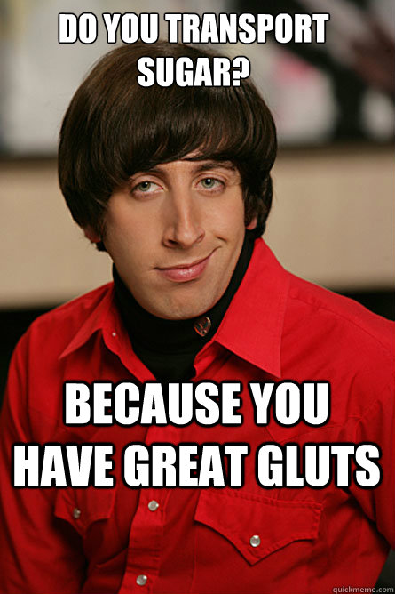 Do you transport sugar? Because you have great GLUTS - Do you transport sugar? Because you have great GLUTS  Pickup Line Scientist