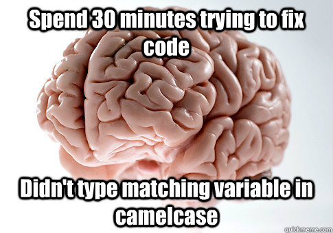 Spend 30 minutes trying to fix code Didn't type matching variable in camelcase  Scumbag Brain