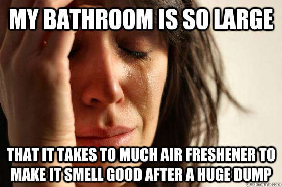 My bathroom is so large   that it takes to much air freshener to make it smell good after a huge dump  First World Problems