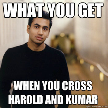 what you get when you cross harold and kumar  Straight A Stoner