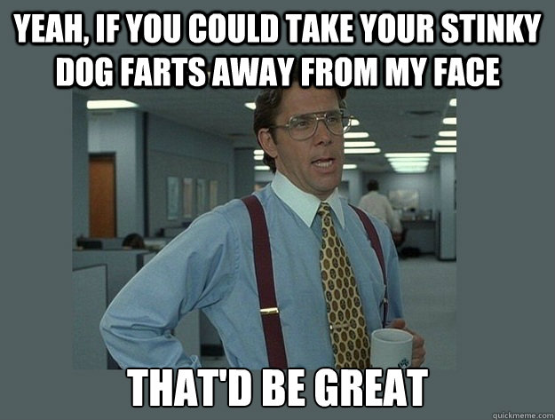 yeah, if you could take your stinky dog farts away from my face That'd be great - yeah, if you could take your stinky dog farts away from my face That'd be great  Office Space Lumbergh