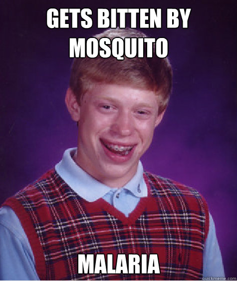 Gets bitten by mosquito Malaria  Bad Luck Brian