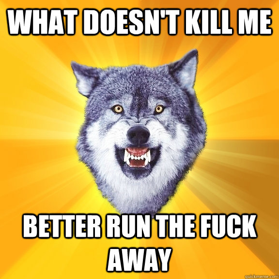 What doesn't kill me better run the fuck away  Courage Wolf