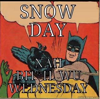 SNOW DAY NAH BIT*H. WU WEDNESDAY Slappin Batman