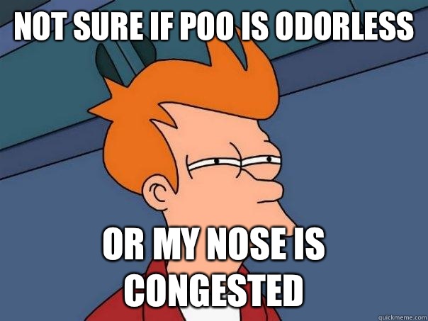 Not sure if poo is odorless  Or my nose is congested  Futurama Fry