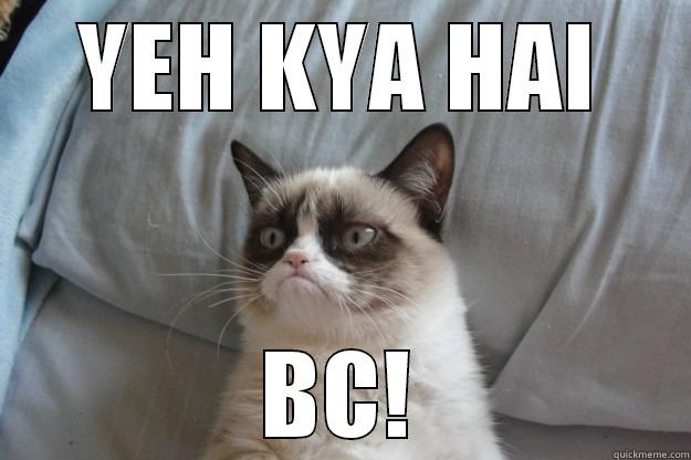 YEH KYA HAI BC! Grumpy Cat