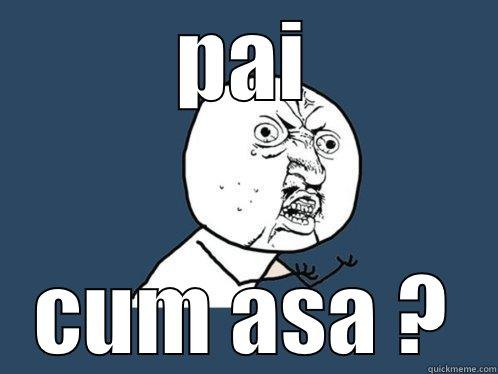 pai cum asa ? - PAI CUM ASA ? Y U No