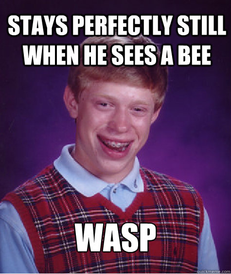 stays perfectly still when he sees a bee wasp  Bad Luck Brian