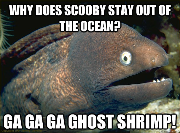 Why does scooby stay out of the ocean? Ga ga ga ghost shrimp!  Bad Joke Eel